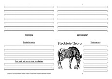 Zebra-Faltbuch-vierseitig-1.pdf